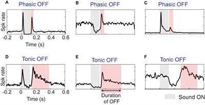 More than the end: OFF response plasticity as a mnemonic signature of a sound’s behavioral salience